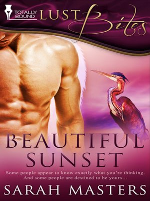 cover image of Beautiful Sunset